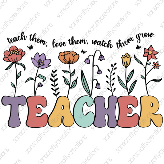 TEACHER-Transfer