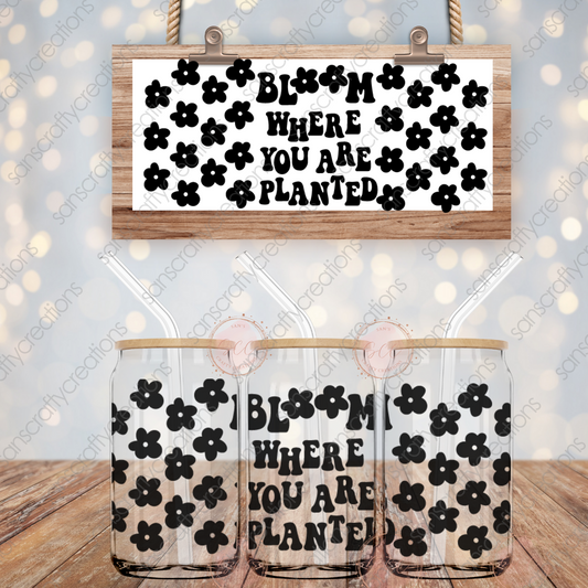 Bloom Where You are planted-16oz Glass Can