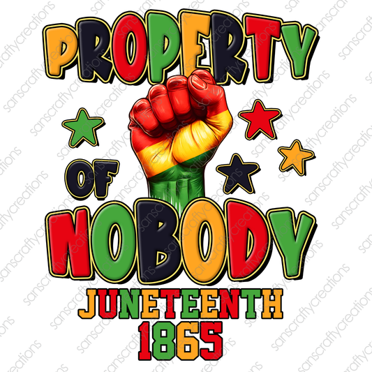 Property of Nobody-Printed Heat Transfer Vinyl